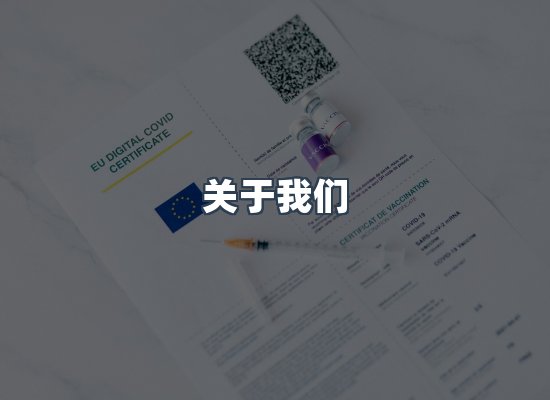 关于我们